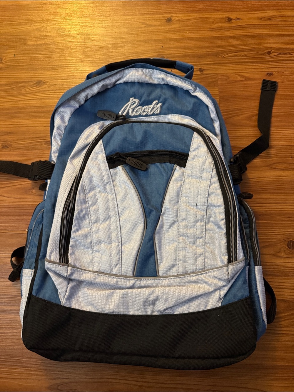 BRAND NEW roots backpack (no tag)
